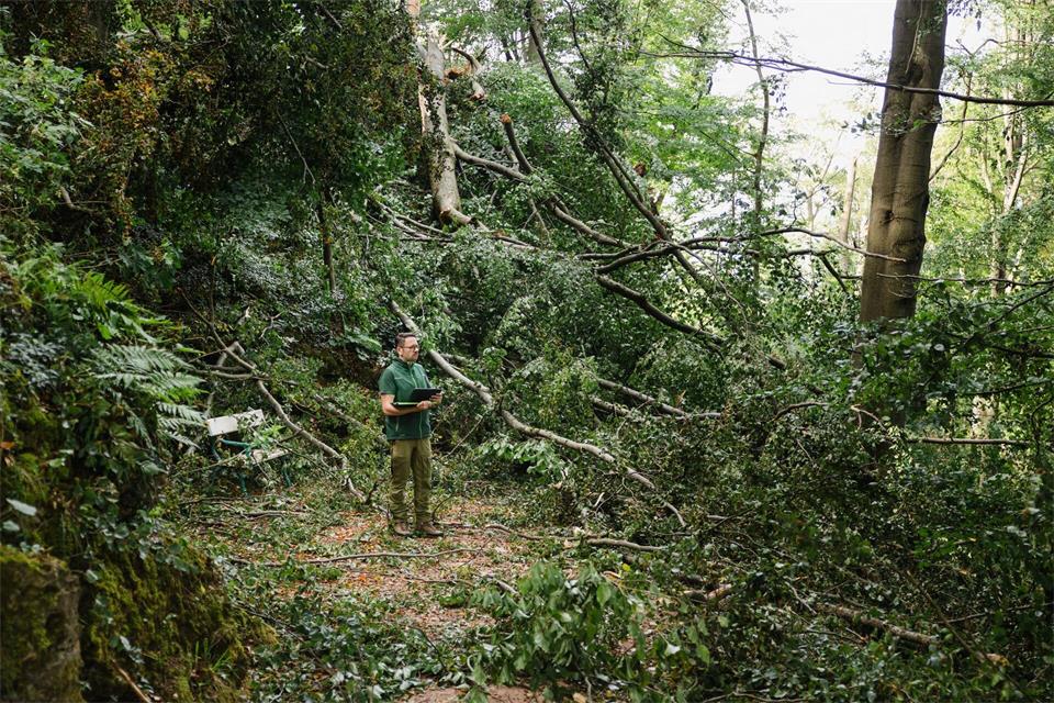Ein Unwetter hat am Abend des 19. August auch im Schlosspark Altenstein zu schweren Schäden geführt.Michael Reichel/dpa