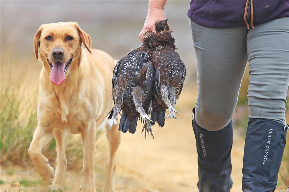 Ein Versuch, den Einsatz der giftigen Munition durch einen freiwilligen Verzicht zu beenden, scheiterte. (Symbolfoto)Owen Humphreys/PA Wire/dpa