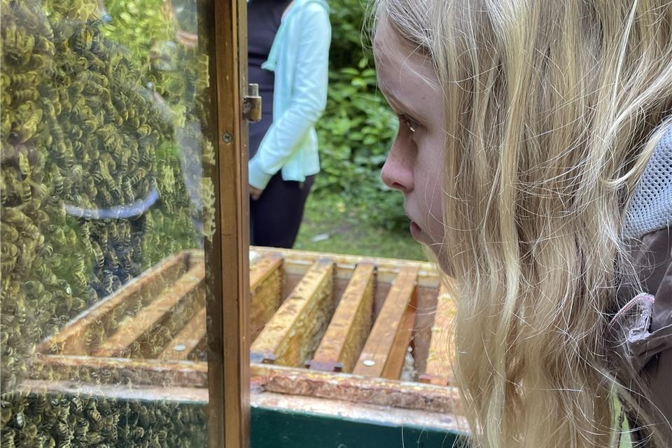 Ein Volk hinter Glas.