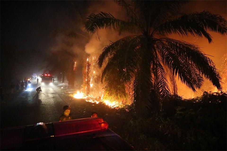 Ein Waldbrand breitet sich in einem Torfmoorgebiet auf Borneo in Indonesien aus.Andri Rizky Agustian/AP/dpa