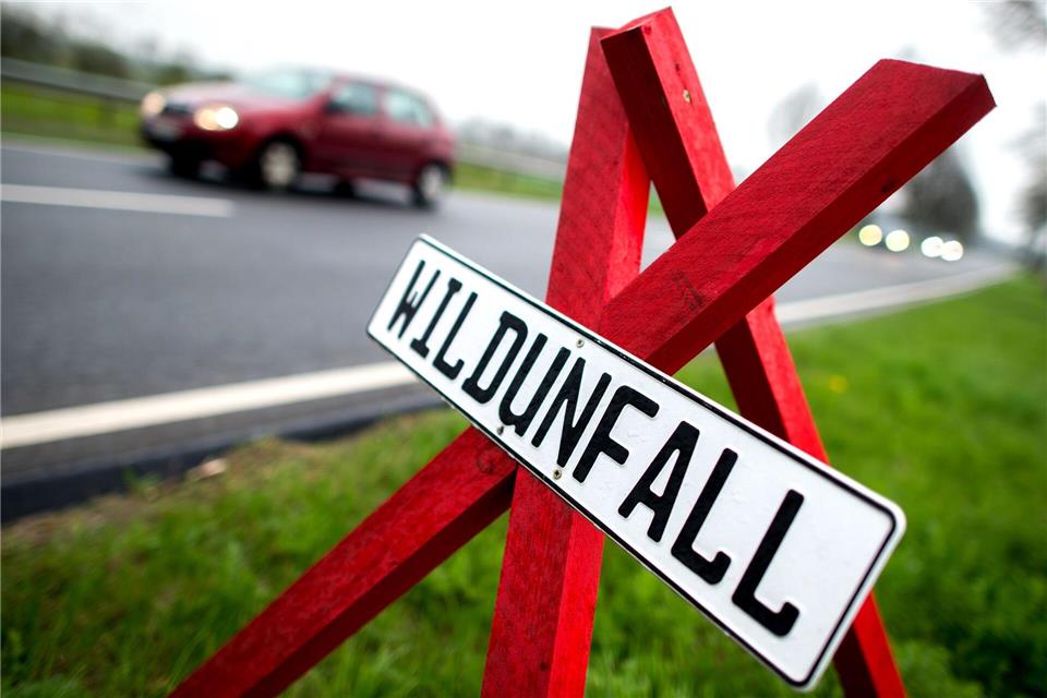 Ein Warnschild an der Stelle eines Wildunfalls in Deutschland. (Symbolbild) Hauke-Christian Dittrich/dpa
