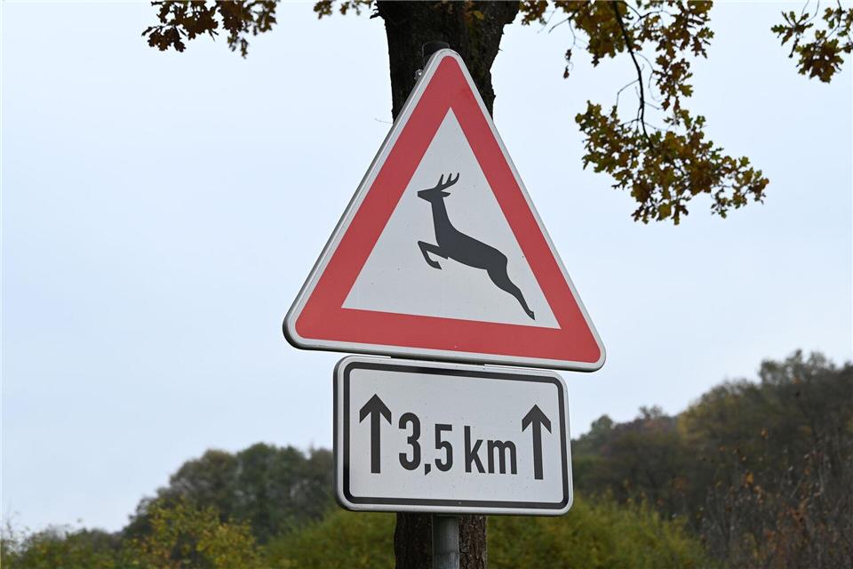 Ein Wildtier löste auf der L880 einen schweren Unfall aus. (Symbolbild)Swen Pförtner/dpa