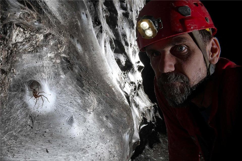 Ein Wissenschaftler vor dem riesigen SpinnennetzMarek Audy/Urak et al. 2025, Subterranean Biology, CC BY 4.0/dpa