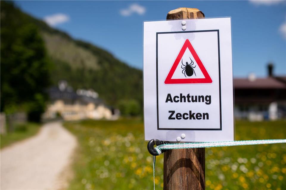 Ein Zecken-Warnschild in einem Wandergebiet in Oberbayern. (Archivbild)picture alliance/dpa