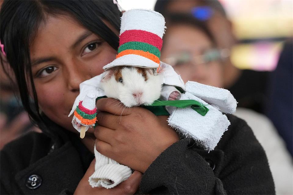 Ein als Eisverkäufer verkleidetes Meerschweinchen gewann den Kostümwettbewerb. Dolores Ochoa/AP/dpa