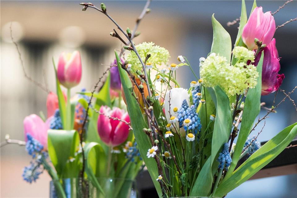 Ein bunter Frühlingsstrauß bringt frische Farben ins Zuhause und sorgt für Osterstimmung.Franziska Gabbert/dpa-tmn