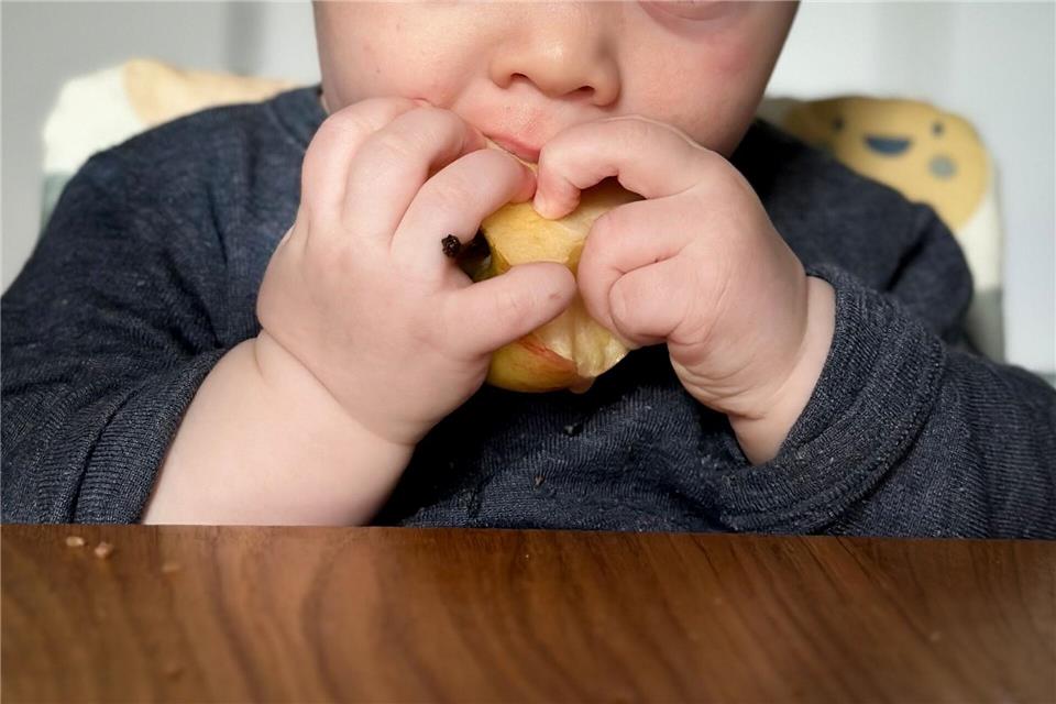Ein ganzer Apfel ist für kleine Kinder zum Abnagen oft besser geeignet als Apfelstücke: Die Handhabung fällt leichter und das Verschluckrisiko sinkt.Zacharie Scheurer/dpa-tmn