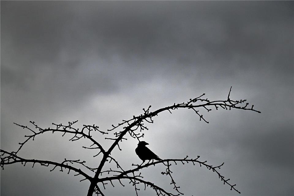 Ein grauer Himmel begleitet die Menschen in Nordrhein-Westfalen von Mittwoch bis Freitag. (Symbolbild)Federico Gambarini/dpa