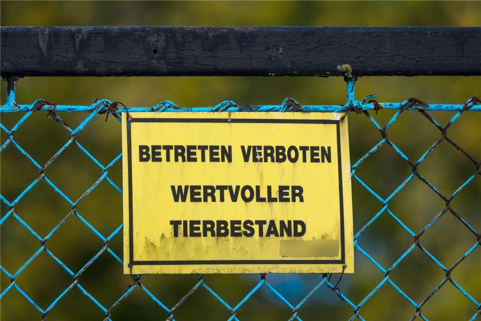 Landkreis: 130.000 Tiere müssen getötet werden  Ein großer Geflügelbetrieb verliert seine Tiere nach dem Ausbruch der Vogelgrippe.Frank Hammerschmidt/dpa