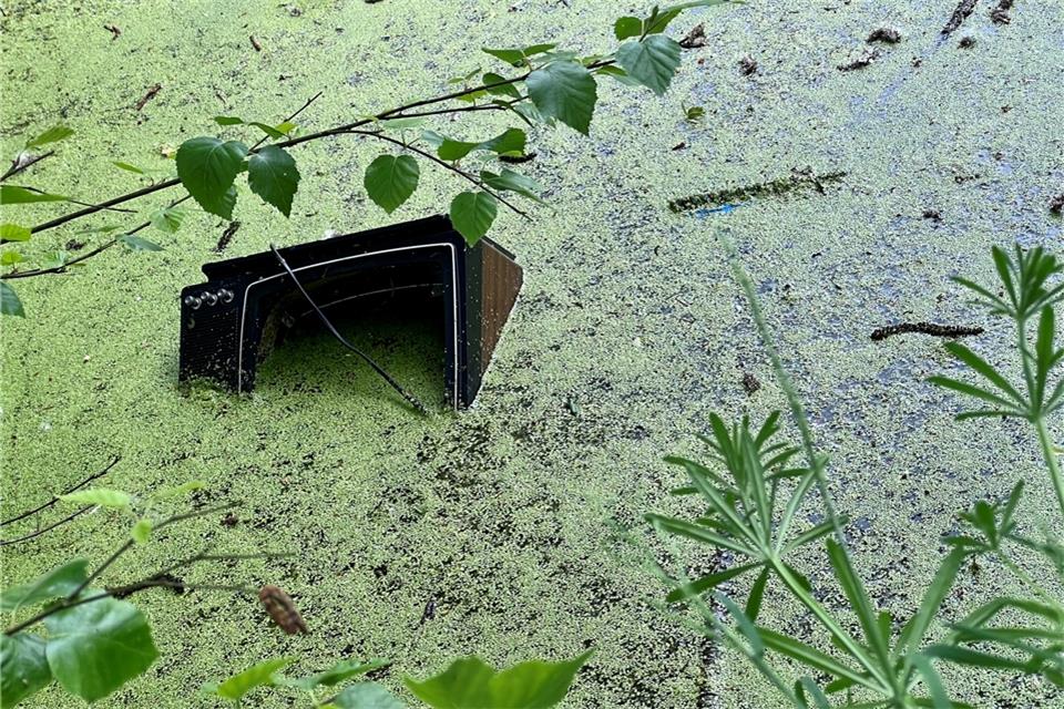 Ein historischer Fernseher landete in einem der Teiche.