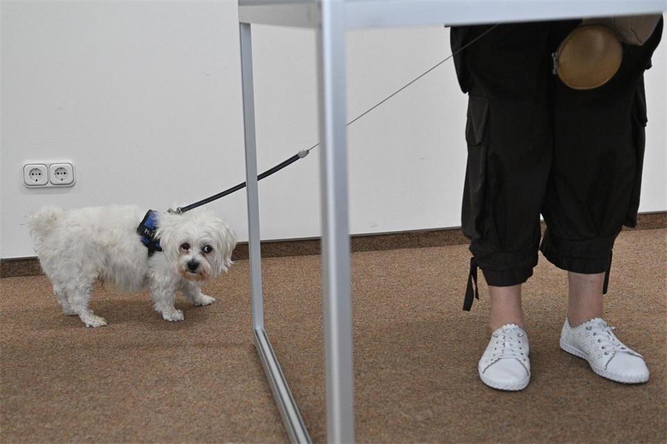 Ein kleiner Hund wartet in einem Wahllokal vor einer Wahlkabine. Klaus-Dietmar Gabbert/dpa