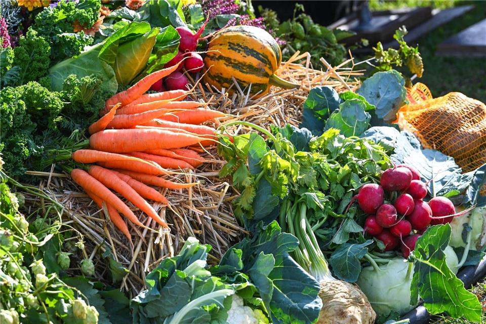 Ein neues Förderprogramm soll Thüringer Landwirten helfen, ihre Produkte etwa auf Messen besser zu bewerben. (Symbolbild)Heiko Rebsch/dpa