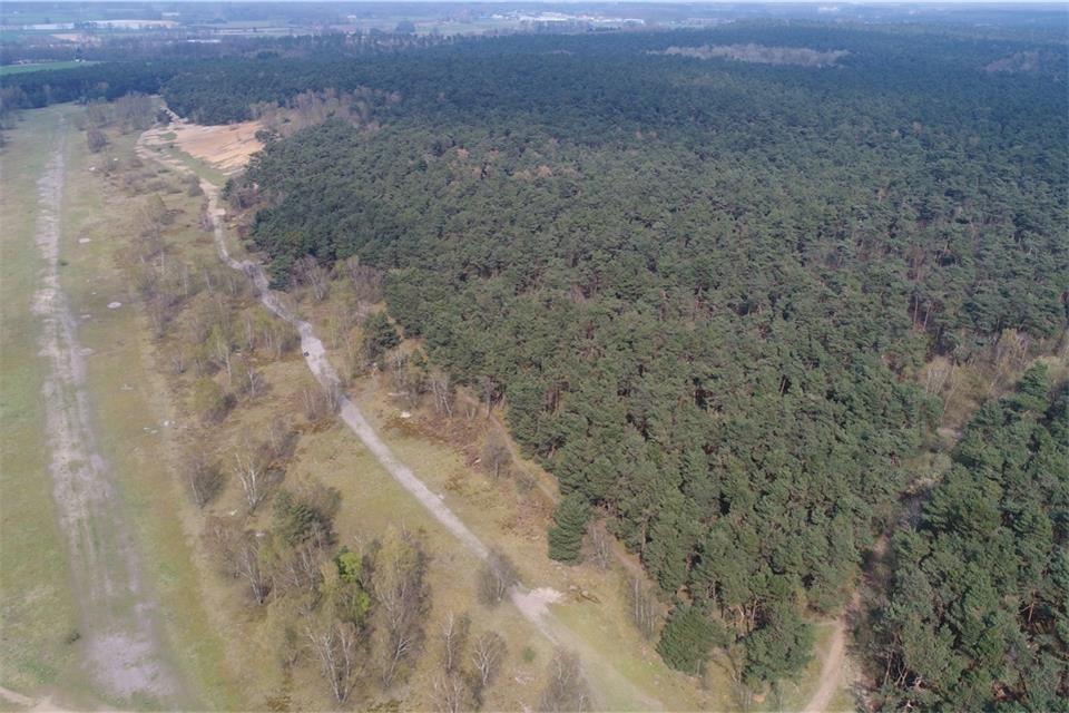 Ein traumhaftes Gelände ist der Fliegerberg und bietet viele Möglichkeiten. Doch wie können Natur und Mensch hier gut nebeneinander leben?