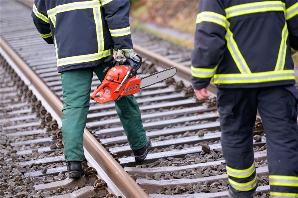 Nach Sperrung: Bahnstrecke Leer-Oldenburg wieder frei Ein umgestürzter Baum sorgte für Behinderungen auf der Bahnstrecke zwischen Norddeich Mole und Hannover. (Symbolbild)Jonas Walzberg/dpa