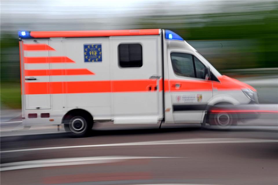 Ein umstürzender Baum hat im Leipziger Auwald einen Mann verletzt. (Symbolbild)Hendrik Schmidt/dpa-Zentralbild/dpa