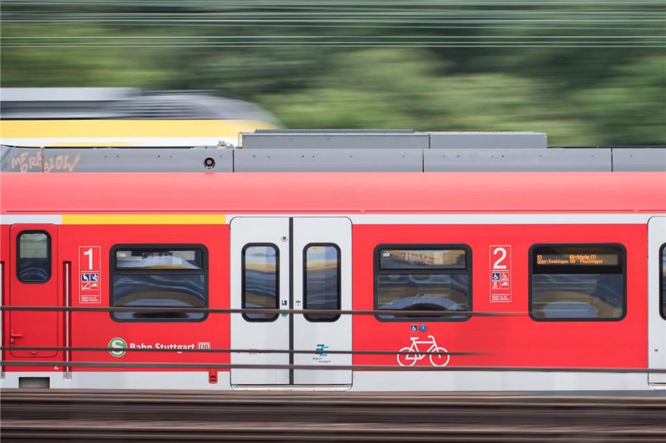 Ein wertvolles Instrument ist verschwunden. (Symbolfoto)Sebastian Gollnow/dpa