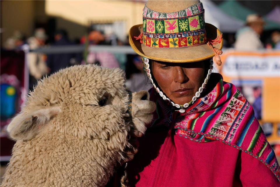 Eine Aymara-Frau und ihr Lama nehmen an der 15. Nationalen Camelid Expo in El Alto, Bolivien, teil.Juan Karita/AP/dpa