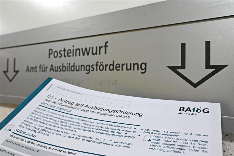 Eine Bafög-Reform soll kommen - nur wann? (Illustration)Elisa Schu/dpa