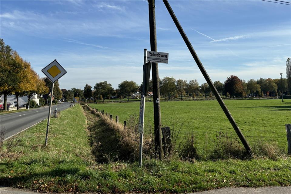 Eine Baumreihe entlang der Weseler Straße (links) wird es nicht geben.