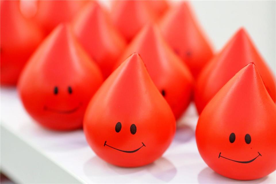 Eine Blutspende dauert etwa sieben bis zehn Minuten (Symbolbild).Jan Woitas/dpa-Zentralbild/dpa-tmn