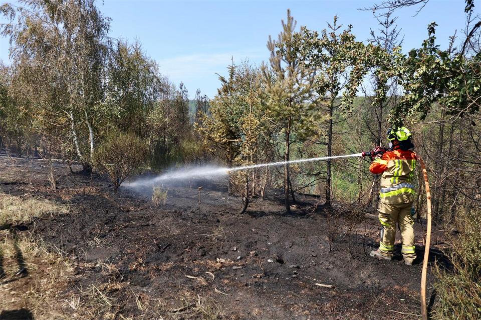Eine Einsatzkraft der Feuerwehr bekämpft einen Waldbrand im Harz. (Archivbild)Matthias Bein/dpa