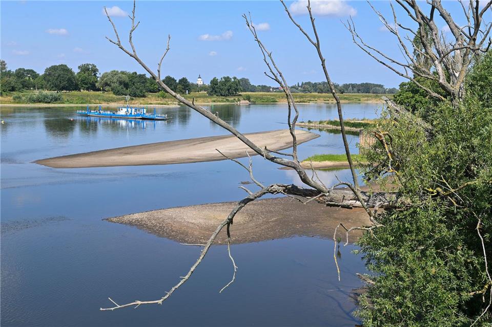 Eine Fähre quert die Elbe in Sachsen-Anhalt. (Archivbild)Klaus-Dietmar Gabbert/dpa