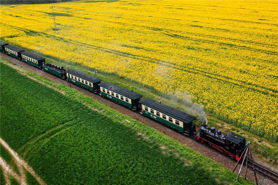 Eine Fahrt mit dem „Rasenden Roland“ auf Rügen kostet seit Februar einen Euro mehr. (Archivbild)Jens Büttner/dpa