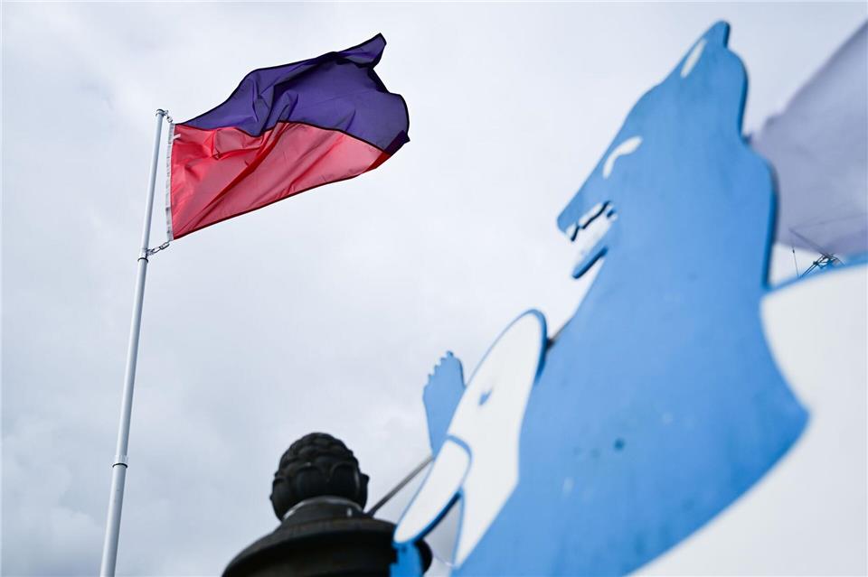 Eine Flagge zeigt während der Schwimm-Demo gegen das Badeverbot in der Spree an, dass die Wasserqualität nicht gut ist. Sebastian Christoph Gollnow/dpa