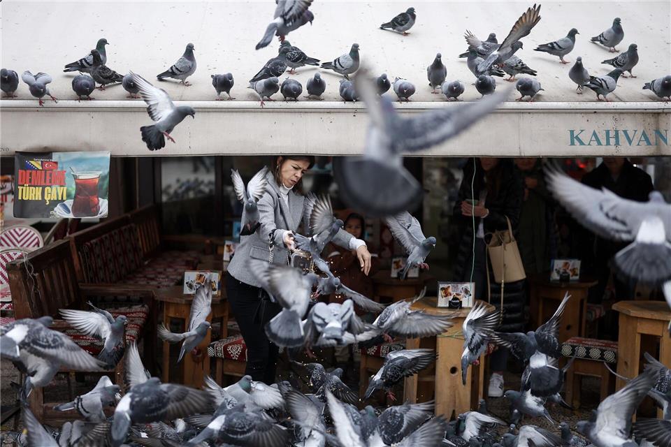 Eine Frau füttert Tauben in Sarajevo.Armin Durgut/AP/dpa