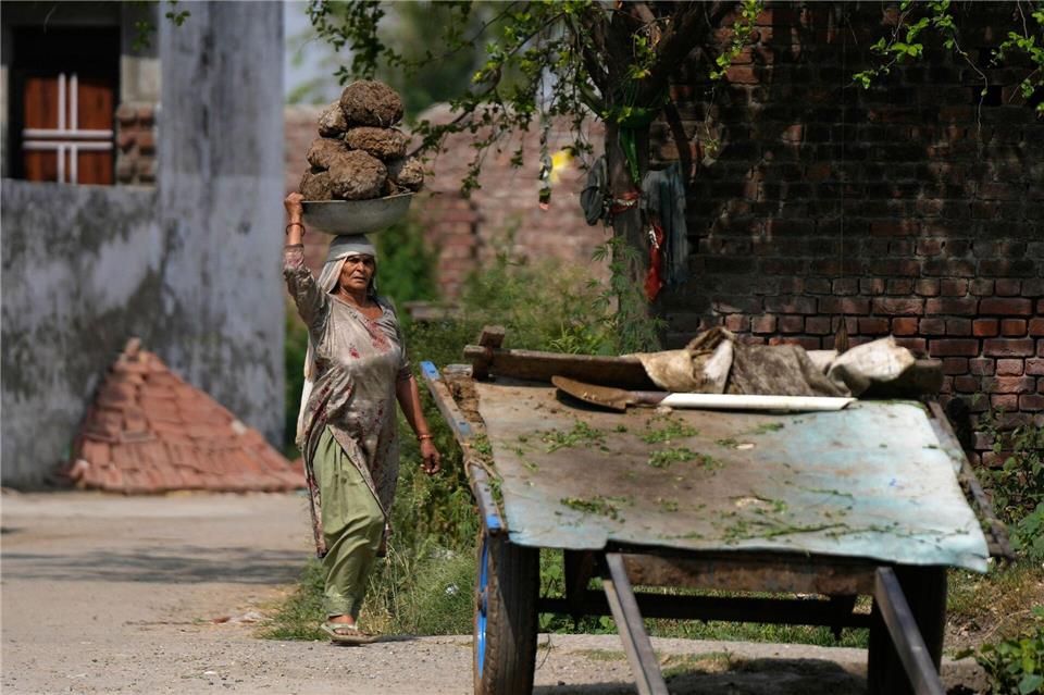 Eine Frau in Indien trägt Kuhmist, der meist als Bau- oder Brennmaterial verwendet wird, in einem Korb auf dem Kopf.Channi Anand/AP/dpa