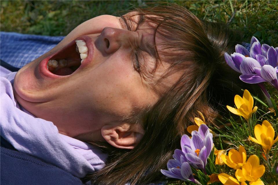 Eine Frau liegt auf einer mit Krokussen bewachsenen Wiese und gähnt. (Archivbild)picture alliance / Karl-Josef Hildenbrand/dpa