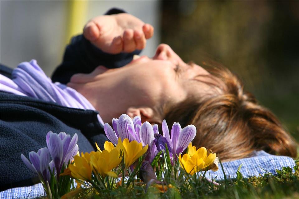 Eine Frau liegt auf einer mit Krokussen bewachsenen Wiese und gähnt. (Archivbild)picture alliance / dpa