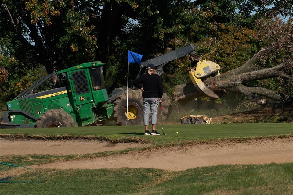 Eine Golferin beobachtet, wie auf dem East Potomac Park Golf Course in Washington Bäume gefällt werden.Julia Demaree Nikhinson/AP/dpa