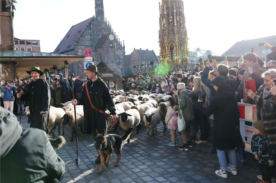 Eine Herde mit 600 Schafen ist in Nürnberg mitten durch die Stadt zu ihren Winterweiden gezogen. Daniel Löb/dpa