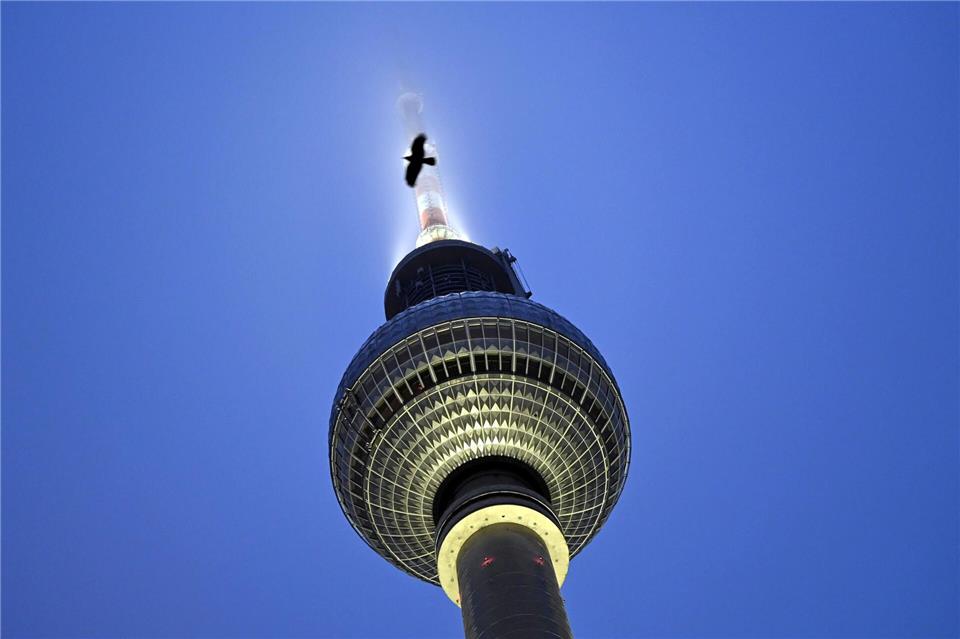 Eine Krähe fliegt vor dem Berliner Fernsehturm, dessen Spitze angeleuchtet ist und teils im Nebel versinkt.Lilli Förter/dpa