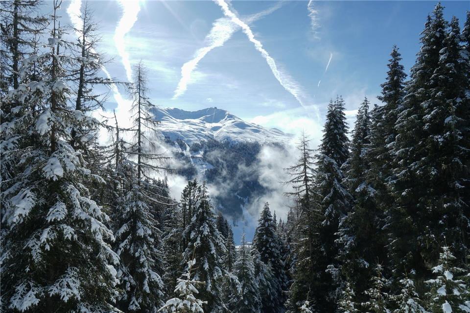 Eine Lichtung auf dem „Wasserfall Rundgang“ gibt die gegenüberliegenden Berge frei: Ein Blick, wie ihn wohl auch Thomas Mann hatte, als er auf der Schatzalp wanderte und sich für seinen Roman Eindrücke verschaffte.Stefan Wei�enborn/dpa-tmn