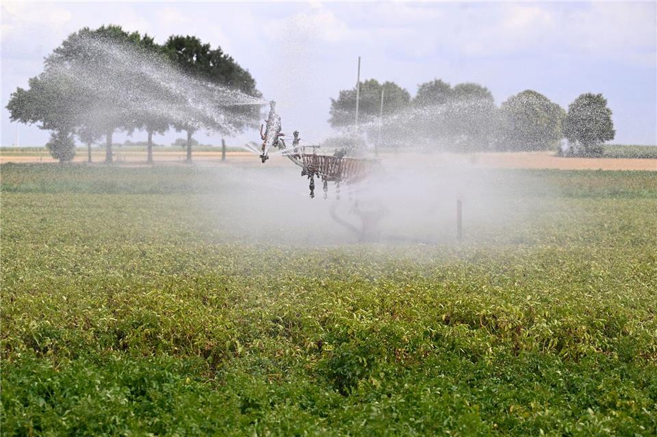 Eine Maschine beregnet ein Kartoffelfeld. Roberto Pfeil/dpa