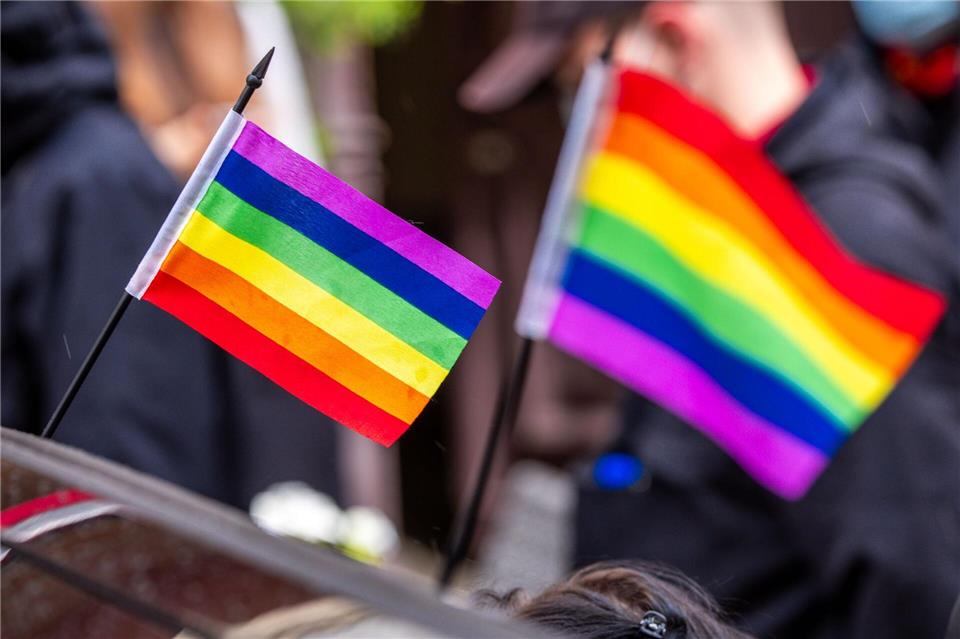 Eine Regenbogenfahne soll Auslöser für eine Körperverletzung gewesen sein (Archivbild) Jens Büttner/dpa