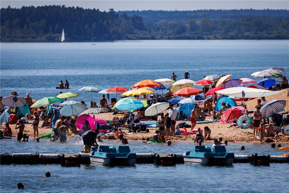 Polizei erschießt Wels - Sind Fische gefährlich für Badende? Eine Sperrung des Strandes war nach Angaben der Polizei nicht möglich. (Archivbild)Daniel Karmann/dpa