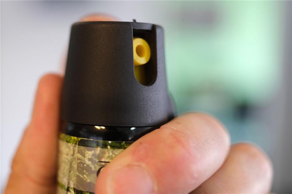 Eine Zugbegleiterin wehrte einen Angriff mit einem Spray ab. (Symbolbild)Bernd Weißbrod/dpa