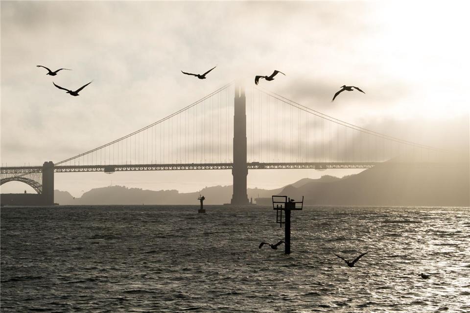 Eine der berühmtesten Brücken der Welt - auch wegen ihrer besonderen Ästhetik: Die Golden Gate Bridge überspannt seit 1937 die Bucht von San Francisco. picture alliance/dpa