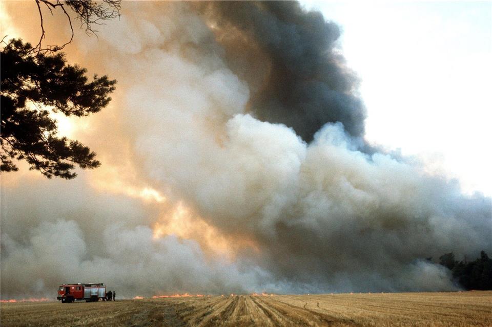 Eine große Trockenheit begünstigte die Waldbrände. (Archivbild)picture alliance / dpa