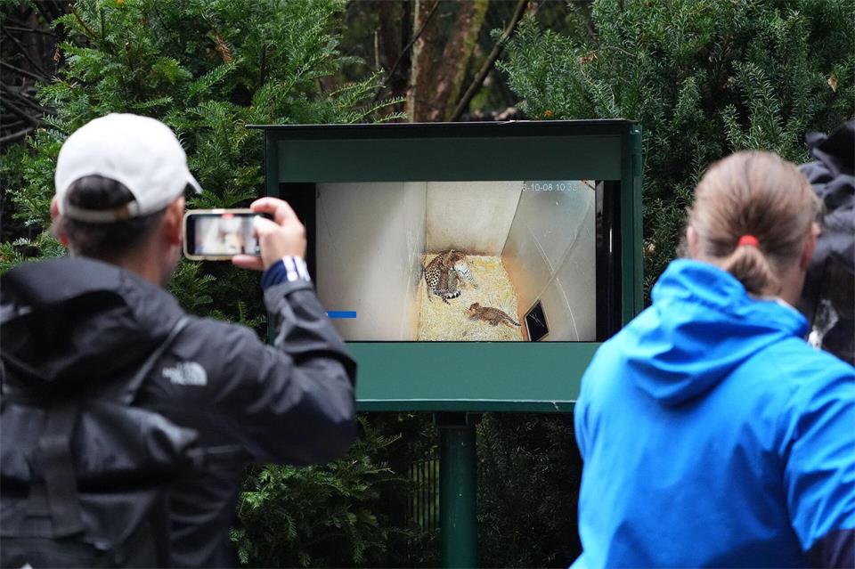 Eine in der Box installierte Kamera zeigt die Jungtiere und ihre Mutter. Marcus Brandt/dpa