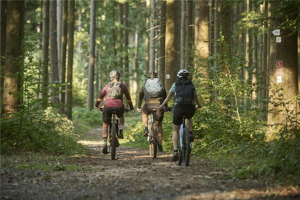 Eine mehrtägige Mountainbike-Route soll künftig Rhön und Spessart miteinander verbinden.Spessart Tourismus und Marketing GmbH/dpa
