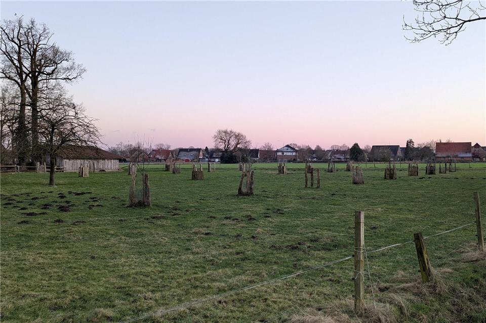 Eine mögliche Fläche für die geplante Hundewiese in Raesfeld haben die Projektbeteiligten bereits.