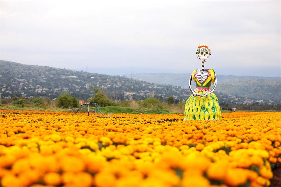 Eine riesige „Catrina“-Figur steht in einem Ringelblumenfeld.Francisco Canedo/XinHua/dpa