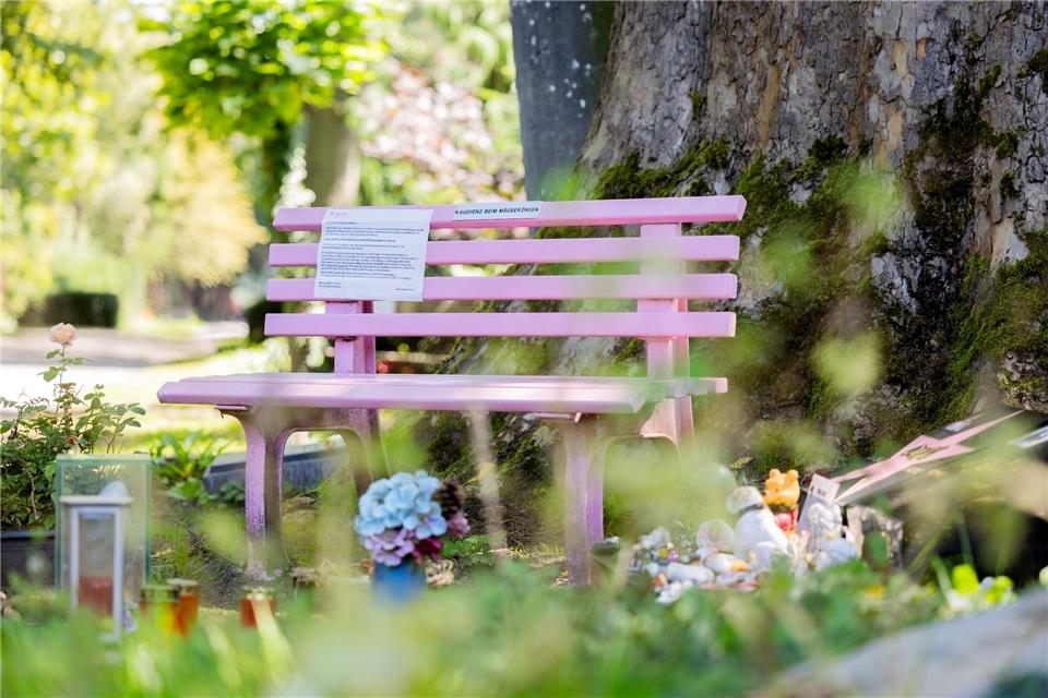 Eine rosafarbene Bank steht neben dem Grab von Dirk Bach auf dem Melatenfriedhof.