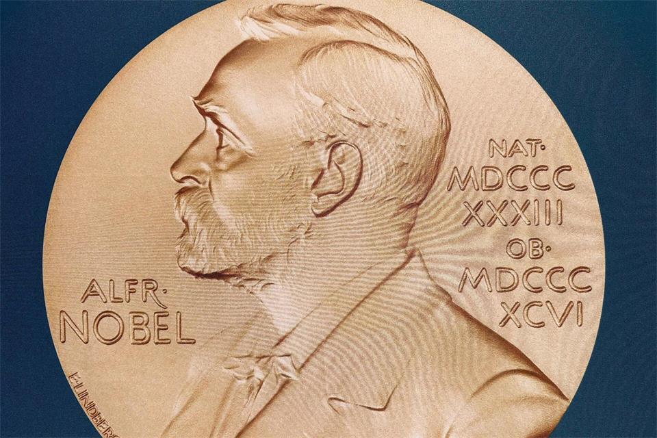 Eine solche Medaille erhalten Hegemann und Nagel am 10. Dezember in Stockholm. Steffen Trumpf/dpa