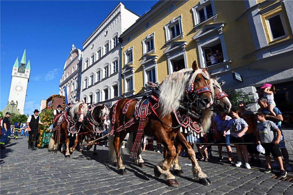 Eine traditionelle Pferdekutsche ist in Straubing in der Innenstadt unterwegs. Armin Weigel/dpa