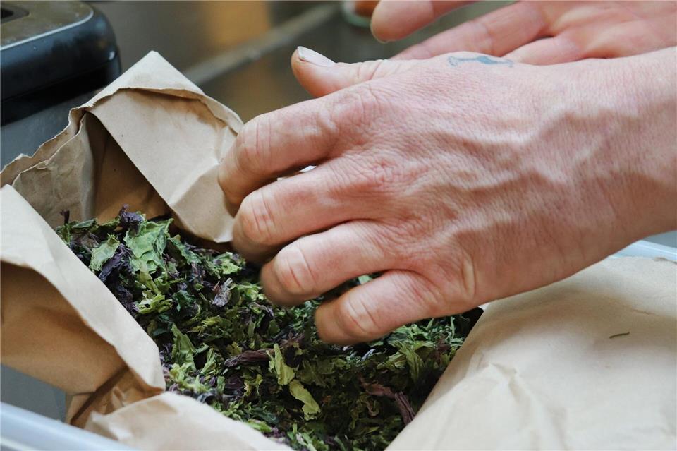 Eine weitere Delikatesse und zudem gesund sind getrocknete Algen von der Île de Ré.Deike Uhtenwoldt/dpa-tmn